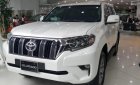 Toyota Land Cruiser VX 2.7L Prado  2019 - Bán Land Cruiser Prado 2019 mới 100% nhập khẩu nguyên chiếc Nhật Bản