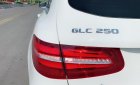 Mercedes-Benz GLC-Class GLC 2017 - Bán xe Mercedes GLC sản xuất năm 2017, màu trắng