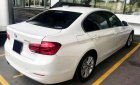 BMW 3 Series 320i 2015 - Bán BMW 3 Series 320i SX 2015, đi 30000km, còn rất mới