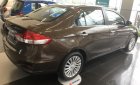 Suzuki Ciaz 2019 - Bán xe Suzuki Ciaz năm sản xuất 2019, màu nâu, nhập khẩu, 455tr