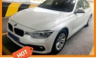 BMW 3 Series 320i 2015 - Bán BMW 3 Series 320i SX 2015, đi 30000km, còn rất mới