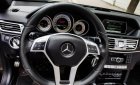 Mercedes-Benz E class E250 AMG 2015 - Bán Mercedes E250 AMG đời 2016, màu đen, nội thất kem cực mới, giá 1,4xx triệu