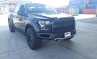 Ford F 150 Raptor 2019 - Cần bán xe Ford F 150 Raptor năm sản xuất 2019, màu đen, xe nhập