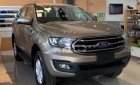 Ford Everest Ambient AT 2018 - Bán Ford Everest Ambient AT 2018, màu vàng, xe nhập