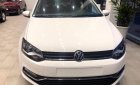 Volkswagen Polo E 2019 - Bán Volkswagen Polo Hacthback 2019 – đủ màu giao ngay- hotline: 0909717983