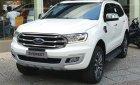 Ford Everest Titanium 4x2 2019 - Bán xe Ford Everest Titanium, màu trắng, giao ngay, nhập khẩu nguyên chiếc