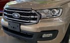 Ford Everest Ambient AT 2018 - Bán Ford Everest Ambient AT 2018, màu vàng, xe nhập