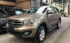 Ford Everest Ambiente AT 2.0 2019 - Bán xe Ford Everest Ambiente AT 2.0 sản xuất 2019, màu vàng, nhập khẩu 