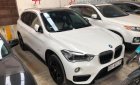 BMW X1 sDrive20i 2016 - Bán BMW X1 sDrive20i đời 2016, màu trắng, xe nhập 