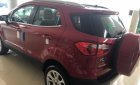 Ford EcoSport 2019 - Bán xe Ford Ecosport 2019 mới giá tốt, liên hệ 0865660630