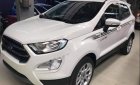 Ford EcoSport   2019 - Bán xe Ford EcoSport sản xuất năm 2019, màu trắng