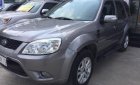 Ford Escape XLT 2013 - Bán ô tô Ford Escape XLT sản xuất năm 2013, màu xám, xe cá nhân sử dụng kỹ ít trầy xước