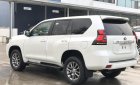 Toyota Land Cruiser Prado VX 2019 - Bán Toyota Land Cruiser Prado mới 100%, NK Nhật Bản, giá tốt, LH 0942.456.838