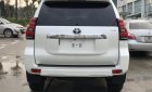 Toyota Land Cruiser Prado VX 2019 - Bán Toyota Land Cruiser Prado mới 100%, NK Nhật Bản, giá tốt, LH 0942.456.838