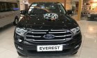 Ford Everest Ambiente 2.0 4x2 AT 2019 - Bán Ford Everest Ambiente - Khuyến mãi lớn trong tháng