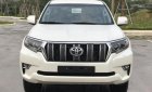 Toyota Land Cruiser Prado VX 2019 - Bán Toyota Land Cruiser Prado mới 100%, NK Nhật Bản, giá tốt, LH 0942.456.838