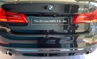 BMW 5 Series 530i 2019 - Bán ô tô BMW 5 Series 530i sản xuất năm 2019, màu đen, mới 100%