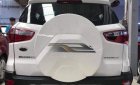 Ford EcoSport   2019 - Bán xe Ford EcoSport sản xuất năm 2019, màu trắng