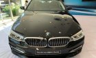 BMW 5 Series 530i 2019 - Bán ô tô BMW 5 Series 530i sản xuất năm 2019, màu đen, mới 100%