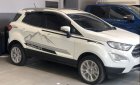 Ford EcoSport   2019 - Bán xe Ford EcoSport sản xuất năm 2019, màu trắng