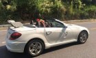 Mercedes-Benz SLK class 280 2007 - Bán Mercedes năm 2007, màu trắng, nhập khẩu nguyên chiếc giá cạnh tranh