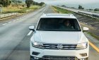 Volkswagen Tiguan E 2019 - Cần bán Volkswagen Tiguan E đời 2019, màu trắng, nhập khẩu nguyên chiếc