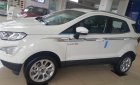 Ford EcoSport 2019 - Bán Ford EcoSport năm 2019, giá tốt nhất thị trường chỉ 663 triệu