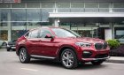 BMW X4 xDrive20i 2019 - Cần bán BMW X4 xDrive20i đời 2019, màu đỏ, nhập khẩu nguyên chiếc