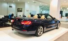 BMW 4 Series 420i   2019 - Bán ô tô BMW 4 Series 420i 2019, màu xanh lam, nhập khẩu