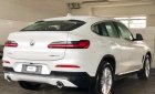 BMW X4 2018 - Bán BMW X4 đời 2019, màu trắng, nhập khẩu