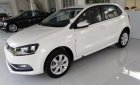 Volkswagen Polo 2018 - Cần bán Volkswagen Polo 2018, màu trắng, nhập khẩu,   mới 100%