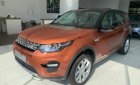 LandRover Discovery Sport HSE 2017 - Bán Discovery Sport HSE 2.0 model 2018 bản 5 chỗ