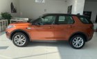 LandRover Discovery Sport HSE 2017 - Bán Discovery Sport HSE 2.0 model 2018 bản 5 chỗ