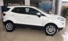 Ford EcoSport Titanium 1.5 2019 - Bán Ford EcoSport Titanium 1.5 đời 2019, màu trắng, giá chỉ 515 triệu, giá khuyến mại liên hệ: 0827707007