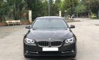 BMW 5 Series 520i  2016 - Cần bán BMW 5 Series đời 2017, màu xám (ghi), nhập khẩu nguyên chiếc