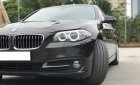 BMW 5 Series 520i  2016 - Cần bán BMW 5 Series đời 2017, màu xám (ghi), nhập khẩu nguyên chiếc