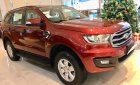 Ford Everest Ambient MT 2019 - Bán Ford Everest Ambient MT 2019 - Xe sẵn giao ngay - đủ màu