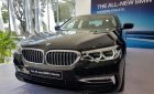 BMW 5 Series 530i 2018 - Bán BMW 5 Series 530i đời 2018, màu đen, nhập khẩu nguyên chiếc