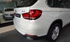 BMW X5 xDrive35i 2019 - Bán BMW X5 xDrive35i sản xuất năm 2019, màu trắng, nhập khẩu  