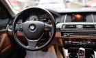 BMW 5 Series   528i   2015 - Bán BMW 528i sản xuất 2015, model 2016, đăng ký 12/2015