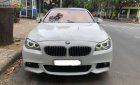 BMW 5 Series 528i 2010 - Bán BMW 5 Series 528i đời 2010, màu trắng, nhập khẩu nguyên chiếc, 980tr