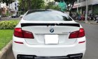 BMW 5 Series 528i 2010 - Bán BMW 5 Series 528i đời 2010, màu trắng, nhập khẩu nguyên chiếc, 980tr