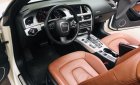Audi A5  S-line 2010 - Cần bán xe Audi A5 mui trần năm sản xuất 2010, màu trắng, nhập khẩu