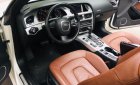 Audi A5  S-line 2010 - Cần bán xe Audi A5 mui trần năm sản xuất 2010, màu trắng, nhập khẩu