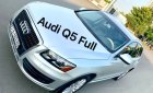 Audi Q5 2.0 2010 - Audi Q5 nhập 2010 hàng full cao cấp, nút đề stop cốp điện số tự động 8 cấp