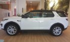 LandRover Discovery Sport HSE 2018 - Bán Discovery Sport HSE - Chương trình tháng 4 với ưu đãi lớn 200 triệu đồng