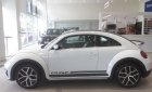 Volkswagen Beetle 2018 - Xe hơi thể thao Volkswagen - Beetle