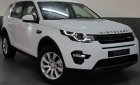 LandRover Discovery Sport  2018 - Bán xe LandRover Discovery Sport đời 2018, màu trắng, nhập khẩu nguyên chiếc giá cạnh tranh