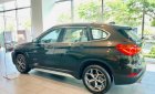 BMW X1 sDrive18i 2018 - Cần bán xe BMW X1 sDrive18i sản xuất năm 2018, màu nâu, xe nhập