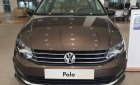 Volkswagen Polo 2017 - Bán Volkswagen Polo 2017, màu nâu, nhập khẩu chính hãng, giá tốt